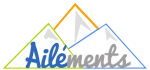 GRIS-LOGO-OFFICIEL-